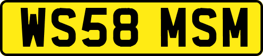 WS58MSM