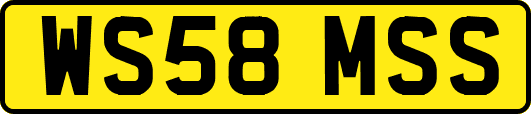 WS58MSS