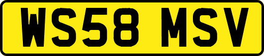 WS58MSV