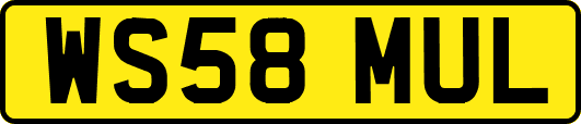 WS58MUL