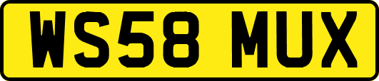 WS58MUX