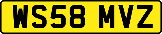 WS58MVZ