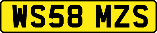 WS58MZS