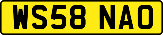 WS58NAO