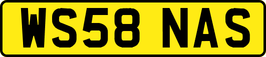 WS58NAS