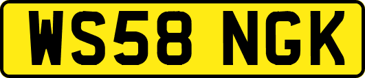 WS58NGK
