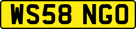 WS58NGO