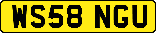 WS58NGU