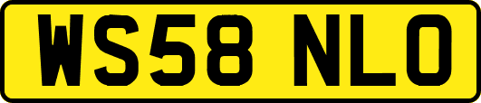 WS58NLO