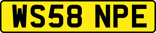 WS58NPE