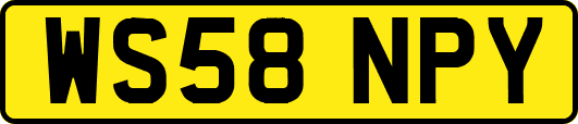 WS58NPY