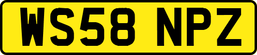 WS58NPZ