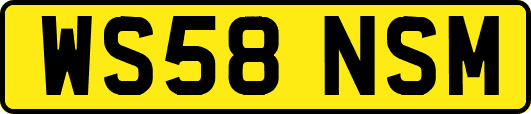 WS58NSM