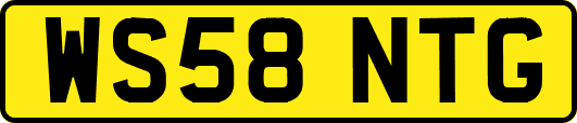 WS58NTG