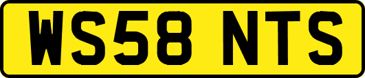 WS58NTS