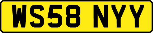 WS58NYY