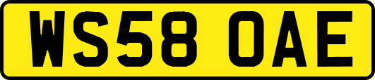 WS58OAE