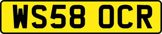 WS58OCR