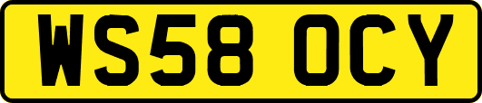 WS58OCY