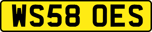 WS58OES