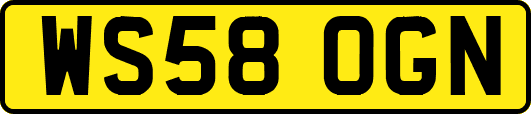 WS58OGN