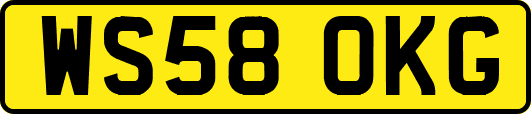 WS58OKG