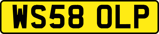 WS58OLP