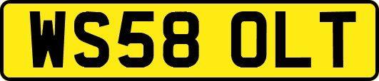 WS58OLT