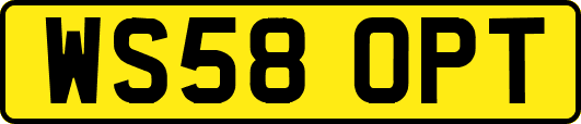 WS58OPT