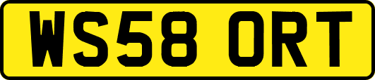 WS58ORT