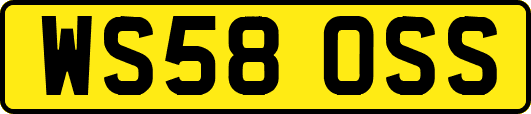 WS58OSS