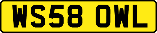WS58OWL
