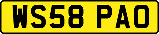 WS58PAO