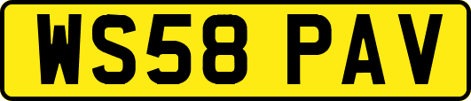 WS58PAV