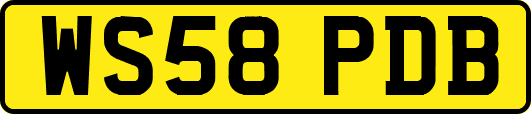 WS58PDB