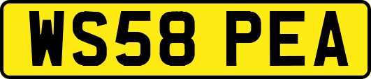 WS58PEA