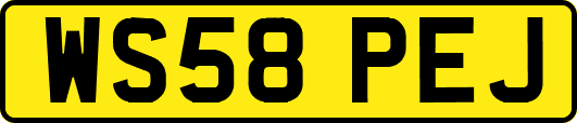 WS58PEJ