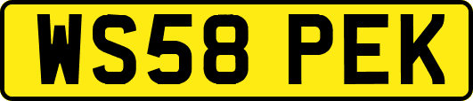 WS58PEK