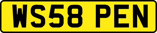 WS58PEN