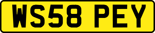 WS58PEY