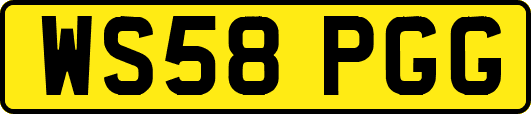 WS58PGG