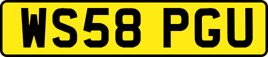 WS58PGU