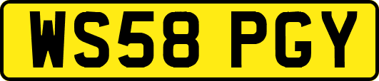 WS58PGY
