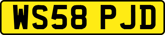 WS58PJD