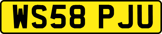 WS58PJU