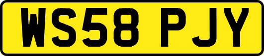 WS58PJY