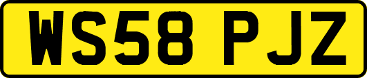 WS58PJZ