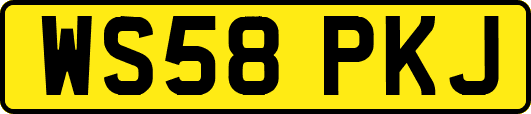 WS58PKJ