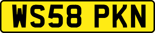 WS58PKN