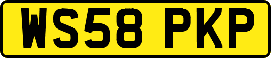 WS58PKP